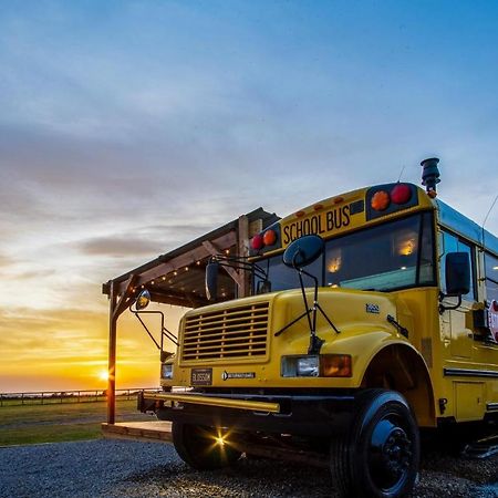 American School Bus - 1 Bedroom - Blossom Farm - Tiers Cross Johnston Kültér fotó