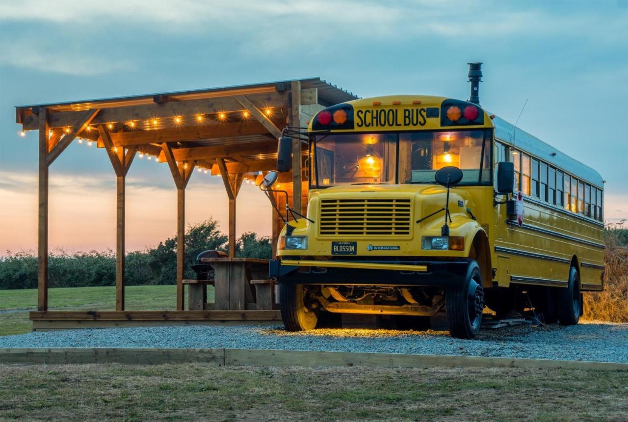 American School Bus - 1 Bedroom - Blossom Farm - Tiers Cross Johnston Kültér fotó
