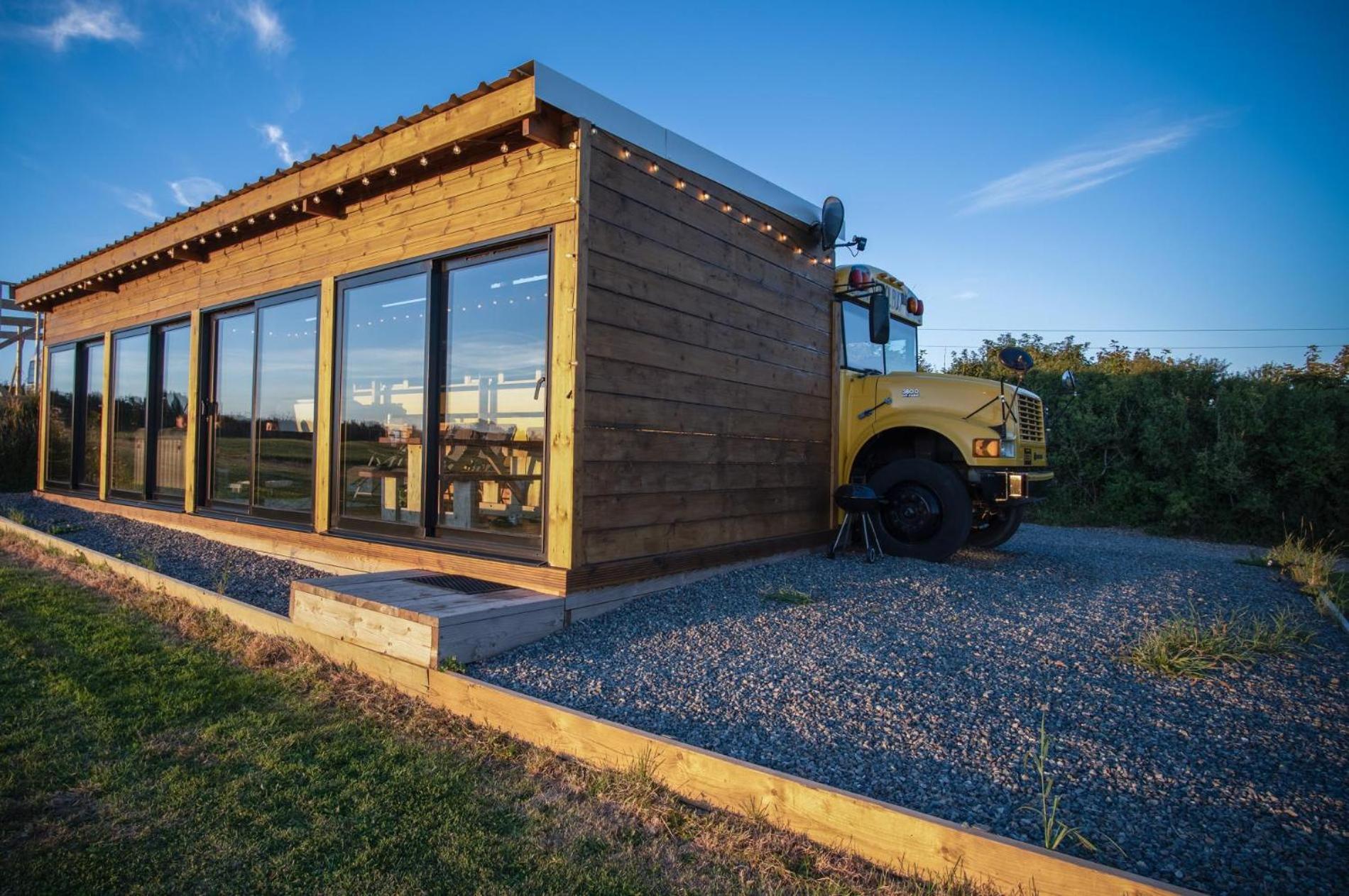 American School Bus - 1 Bedroom - Blossom Farm - Tiers Cross Johnston Kültér fotó